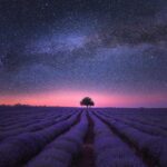 Tech Startups Disrupting Traditional Industries Across The Globe
